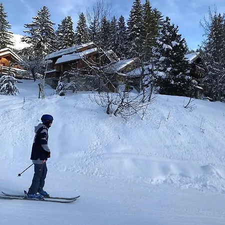 Altitude1600 6 Personnes En Pleine Nature Au Milieu Des Pistes (adults Only) Alpehytte *